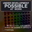 WAHOO FEAT. JON SMITH - MAKE EM SHAKE IT (Original Mix)