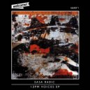 Sasa Radic - 12pm Voices