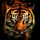 Survivor - Eye Of The Tiger (Julio Crossover Remix)