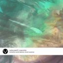 Nadia Popoff - Cropcircles