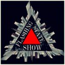 FLASH - Flashing State 015