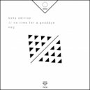 Beta Edition - No Time For a Goodbye (Original Mix)