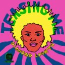 Diamond Lights - Teasing Me (Zares Remix)