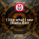Dimilyan - I like what I see (Radio Edit Minus)