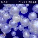 B.A.X. - Pilgrimage (Doan Remix)