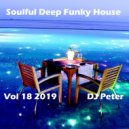 DJ Peter - Soulful Deep Funky House Vol 18 2019 (DJ MIX)