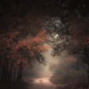 Tim Schaufert - Homeward