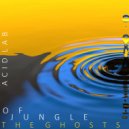 Acid Lab - Switch Back