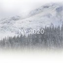 PELEVIN - NY 2020
