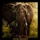 Techmatik - Beyond Awakening