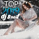 Dj SneiF - Top Russian Music Mix 2019 ()