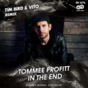 Tommee Profitt - In The End