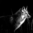 AlisianFox - Slow and Fast ()
