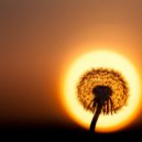 Mo☰ - LiveBeatz (#145)