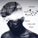 Apriori - Voice in my mind (Marcus Caballero Remix)