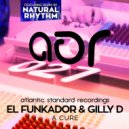 El Funkador & Gilly D - A Cure (Natural Rhythm\'s Disco Dub Remix)