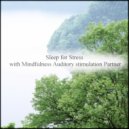 Mindfulness Auditory Stimulation Partner - Lapis Lazuli & Joy (Original Mix)