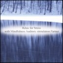Mindfulness Auditory Stimulation Partner - Sound & Sensitivity