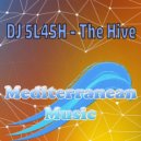 DJ 5L45H - Ravin Sm4rt