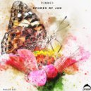 VINNCI - Echoes of Jah (Original Mix)