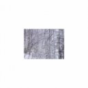 Mindfulness Healing BGM Project - Limestone & Self Talk