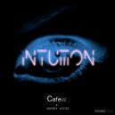 Cafe 432 & Sheree Hicks - Intuition