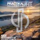 Abide - Hidden Beauty