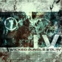 Salacious Krum - Visions (Original Mix)
