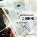 Cordero - What\'s The Polution (5 A.M. Medicis Remix)