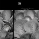 A Thousand Details - Tandem