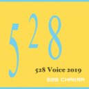 528 Chakra - 528 Voice 2019 #4 (Original Mix)