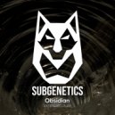 Subgenetics - Sirius B (Original Mix)