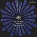 V&Shmit - Immersion (Josh Grover Remix)