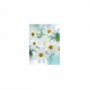 Mindfulness Healing Bgm Project - Braue & Mindfulness (Original Mix)