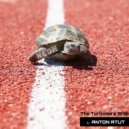Anton RtUt - The Turtloise's Step