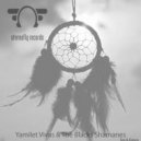 Yamilet Vivas & The Blacks Shamanes - Sex & Dance (Original Mix)