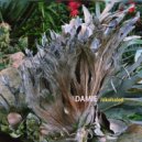 Damie - RNA (Ribonucleic Acid) (Original Mix)