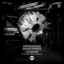 Bagagee Viphex13 - Fuel Injection