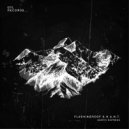 Flashingroof & H.A.N.T. - North Express (Dunkler Klang Remix)