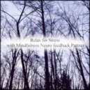 Mindfulness Neuro Feedback Partner - Resurrection & Concentration (Original Mix)