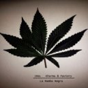 JHGL - La Mamba Negra