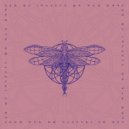 Sex Of Insects - Om Nah Omn