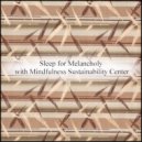 Mindfulness Sustainability Center - Name & Communication