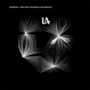 Laurie Spiegel - Remembering First Explorations