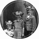 Stereotipe - After Ball