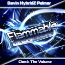 Davin Palmer - Check The Volume (Original Mix)