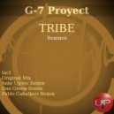 G-7 Proyect - Tribe