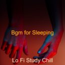 Lo Fi Study Chill - Joyful Moments for Working at Home