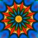 Radial Blur - I Pluked Electric Flowers