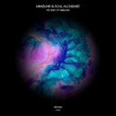 Mihølnir, Soul Alchemist - Nibelung (Main Leaf \'Dub\' Remix)